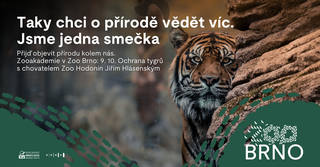 Zooakademie: Ochrana tygrů